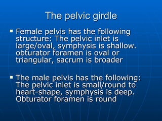The pelvic girdle Female pelvis has the following structure: The pelvic inlet is large/oval, symphysis is shallow. obturator foramen is oval or triangular, sacrum is broader The male pelvis has the following: The pelvic inlet is small/round to heart-shape, symphysis is deep. Obturator foramen is round 