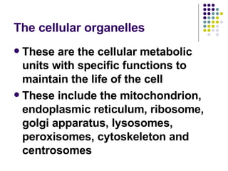 The cellular organelles These are the cellular metabolic units with specific functions to maintain the life of the cell These include the mitochondrion, endoplasmic reticulum, ribosome, golgi apparatus, lysosomes, peroxisomes, cytoskeleton and centrosomes 