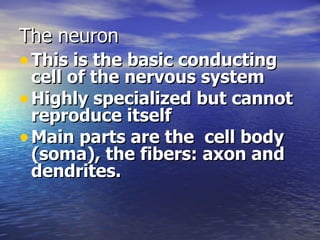 The neuron This is the basic conducting cell of the nervous system Highly specialized but cannot reproduce itself Main parts are the  cell body (soma), the fibers: axon and dendrites. 