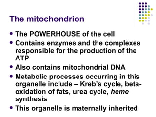 The mitochondrion The POWERHOUSE of the cell Contains enzymes and the complexes responsible for the production of the ATP Also contains mitochondrial DNA Metabolic processes occurring in this organelle include – Kreb’s cycle, beta-oxidation of fats, urea cycle,  heme  synthesis This organelle is maternally inherited 