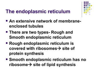 The endoplasmic reticulum An extensive network of membrane-enclosed tubules There are two types- Rough and Smooth endoplasmic reticulum Rough endoplasmic reticulum is covered with ribosomes   site of protein synthesis Smooth endoplasmic reticulum has no ribosome   site of lipid synthesis 