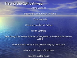 Tracing the CSF pathway Lateral ventricle   Interventricular foramen of Monro   Third ventricle Cerebral aqueduct of Sylvius Fourth ventricle Exits trough the median foramen of Magendie or the lateral foramen of Luscka Subarachnoid spaces in the cisterna magna, spinal cord  subarachnoid space of the brain superior sagittal sinus 