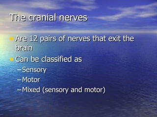 The cranial nerves Are 12 pairs of nerves that exit the brain Can be classified as Sensory Motor Mixed (sensory and motor) 
