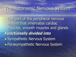 The Autonomic Nervous System The part of the peripheral nervous system that innervates cardiac muscles, smooth muscles and glands Functionally divided into Sympathetic Nervous System Parasympathetic Nervous System 