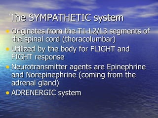 The SYMPATHETIC system Originates from the T1-L2/L3 segments of the spinal cord (thoracolumbar) Utilized by the body for FLIGHT and FIGHT response Neurotransmitter agents are Epinephrine and Norepinephrine (coming from the adrenal gland) ADRENERGIC system 