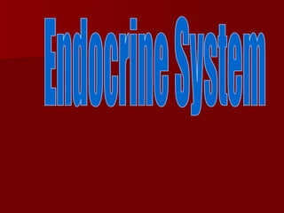 Endocrine System 