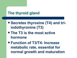 The thyroid gland Secretes thyroxine (T4) and tri-iodothyronine (T3) The T3 is the most active hormone Function of T3/T4: Increase metabolic rate, essential for normal growth and maturation 