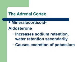 The Adrenal Cortex Mineralocorticoid-  Aldosterone Increases sodium retention, water retention secondarily Causes excretion of potassium 