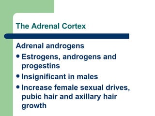 The Adrenal Cortex Adrenal androgens Estrogens, androgens and progestins Insignificant in males Increase female sexual drives, pubic hair and axillary hair growth 