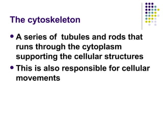The cytoskeleton A series of  tubules and rods that runs through the cytoplasm supporting the cellular structures  This is also responsible for cellular movements 