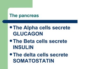 The pancreas The Alpha cells secrete GLUCAGON The Beta cells secrete INSULIN The delta cells secrete SOMATOSTATIN 