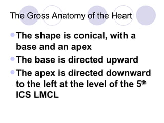 The Gross Anatomy of the Heart The shape is conical, with a base and an apex The base is directed upward The apex is directed downward to the left at the level of the 5 th  ICS LMCL 