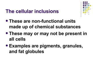The cellular inclusions These are non-functional units made up of chemical substances These may or may not be present in all cells Examples are pigments, granules, and fat globules 