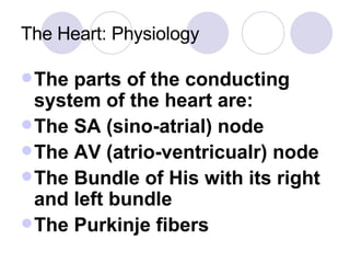 The Heart: Physiology The parts of the conducting system of the heart are: The SA (sino-atrial) node The AV (atrio-ventricualr) node The Bundle of His with its right and left bundle The Purkinje fibers 