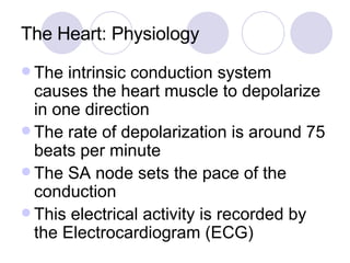 The Heart: Physiology The intrinsic conduction system causes the heart muscle to depolarize in one direction The rate of depolarization is around 75 beats per minute The SA node sets the pace of the conduction This electrical activity is recorded by the Electrocardiogram (ECG) 