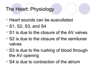 The Heart: Physiology Heart sounds can be auscultated S1, S2, S3, and S4 S1 is due to the closure of the AV valves S2 is due to the closure of the semilunar valves S3 is due to the rushing of blood through the AV opening S4 is due to contraction of the atrium 