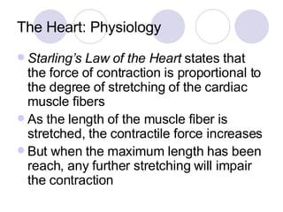 The Heart: Physiology Starling’s Law of the Heart  states that the force of contraction is proportional to the degree of stretching of the cardiac muscle fibers As the length of the muscle fiber is stretched, the contractile force increases But when the maximum length has been reach, any further stretching will impair the contraction 