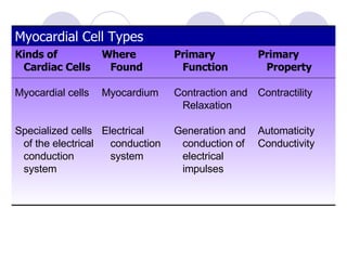 Basic Electrophysiology Primary Property Contractility Automaticity Conductivity Where Found Myocardium Electrical conduction system Primary Function Contraction and Relaxation Generation and conduction of electrical impulses Kinds of Cardiac Cells Myocardial cells Specialized cells of the electrical conduction system Myocardial Cell Types 