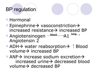 BP regulation Hormonal Epinephrine   vasoconstriction   increased resistance   increased BP Angiotensinogen  A1  Angiotensin 2 ADH   water reabsorption    ↑Blood volume   increased BP ANF   increase sodium excretion  increased urine   decreased blood volume   decreased BP blood lung 