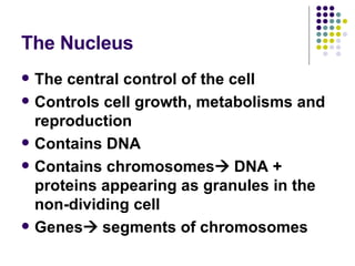 The Nucleus The central control of the cell Controls cell growth, metabolisms and reproduction Contains DNA Contains chromosomes   DNA + proteins appearing as granules in the non-dividing cell Genes   segments of chromosomes  