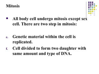 Mitosis All body cell undergo mitosis except sex cell. There are two step in mitosis: Genetic material within the cell is replicated. Cell divided to form two daughter with same amount and type of DNA.  