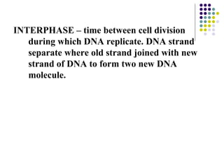 INTERPHASE – time between cell division during which DNA replicate. DNA strand separate where old strand joined with new strand of DNA to form two new DNA molecule. 