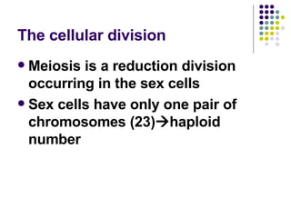 The cellular division Meiosis is a reduction division occurring in the sex cells Sex cells have only one pair of chromosomes (23)  haploid number 