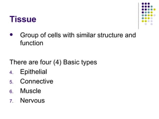Tissue Group of cells with similar structure and function There are four (4) Basic types Epithelial Connective Muscle  Nervous 