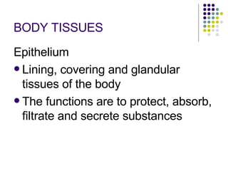 BODY TISSUES Epithelium Lining, covering and glandular tissues of the body The functions are to protect, absorb, filtrate and secrete substances 