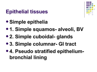 Epithelial tissues Simple epithelia 1. Simple squamos- alveoli, BV 2. Simple cuboidal- glands 3. Simple columnar- GI tract 4. Pseudo stratified epithelium- bronchial lining 