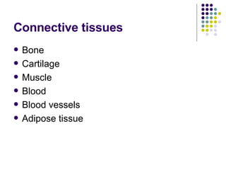 Connective tissues Bone Cartilage Muscle Blood Blood vessels Adipose tissue 