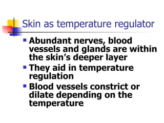 Skin as temperature regulator Abundant nerves, blood vessels and glands are within the skin’s deeper layer They aid in temperature regulation Blood vessels constrict or dilate depending on the temperature 