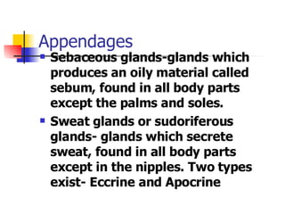 Appendages Sebaceous glands-glands which produces an oily material called sebum, found in all body parts except the palms and soles. Sweat glands or sudoriferous glands- glands which secrete sweat, found in all body parts except in the nipples. Two types exist- Eccrine and Apocrine 