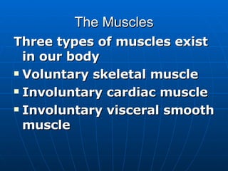 The Muscles Three types of muscles exist in our body Voluntary skeletal muscle Involuntary cardiac muscle Involuntary visceral smooth muscle 
