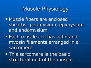 Muscle Physiology Muscle fibers are enclosed sheaths- perimysium, epimysium and endomysium Each muscle cell has actin and myosin filaments arranged in a sarcomere This sarcomere is the basic structural unit of the muscle 