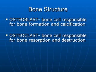 Bone Structure <ul><li>OSTEOBLAST- bone cell responsible for bone formation and calcification </li></ul><ul><li>OSTEOCLAST...