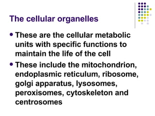 The cellular organelles <ul><li>These are the cellular metabolic units with specific functions to maintain the life of the...