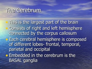 The Cerebrum <ul><li>This is the largest part of the brain </li></ul><ul><li>Consists of right and left hemisphere connect...