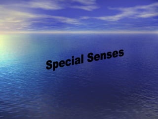 Special Senses 