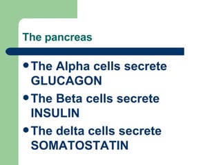The pancreas <ul><li>The Alpha cells secrete GLUCAGON </li></ul><ul><li>The Beta cells secrete INSULIN </li></ul><ul><li>T...
