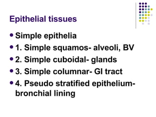 Epithelial tissues <ul><li>Simple epithelia </li></ul><ul><li>1. Simple squamos- alveoli, BV </li></ul><ul><li>2. Simple c...