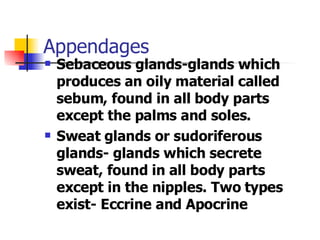 Appendages <ul><li>Sebaceous glands-glands which produces an oily material called sebum, found in all body parts except th...