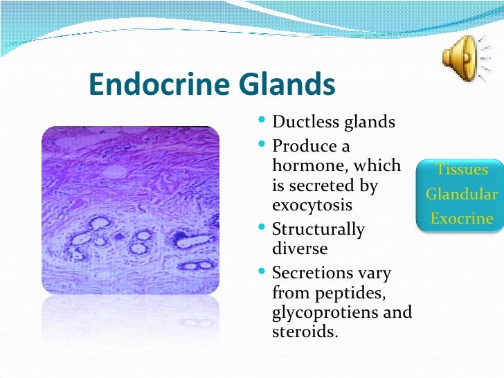 Anatomy Slideshow Part 2