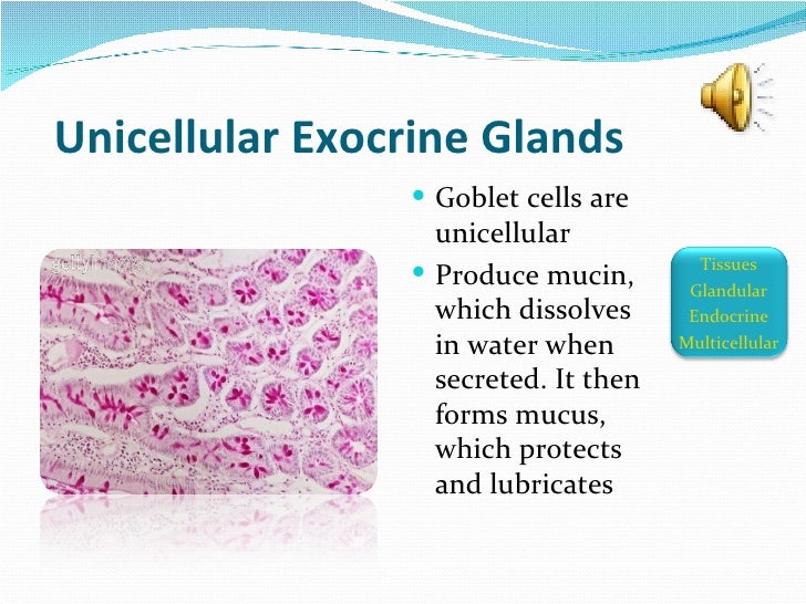 Anatomy Slideshow Part 2
