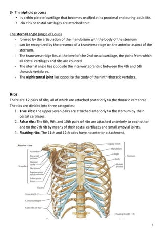 Medicine Keys for Internal Medicine - The transverse thoracic plane lies at  the level of the sternal angle/Angle of Louis (at the level of the 2nd  intercostal space) and intervertebral disc between