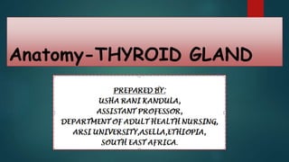 Anatomy-THYROID GLAND
 