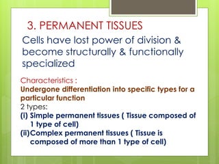 3. PERMANENT TISSUES
Cells have lost power of division &
become structurally & functionally
specialized
Characteristics :
Undergone differentiation into specific types for a
particular function
2 types:
(i) Simple permanent tissues ( Tissue composed of
1 type of cell)
(ii)Complex permanent tissues ( Tissue is
composed of more than 1 type of cell)
 