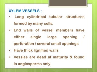 XYLEM VESSELS :
• Long cylindrical tubular structures
formed by many cells.
• End walls of vessel members have
either single large opening /
perforation / several small openings
• Have thick lignified walls
• Vessles are dead at maturity & found
in angiosperms only
 