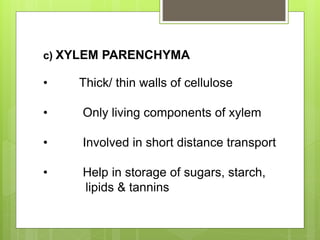 c) XYLEM PARENCHYMA
• Thick/ thin walls of cellulose
• Only living components of xylem
• Involved in short distance transport
• Help in storage of sugars, starch,
lipids & tannins
 