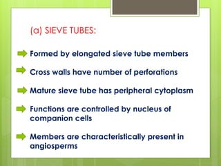 (a) SIEVE TUBES:
Formed by elongated sieve tube members
Cross walls have number of perforations
Mature sieve tube has peripheral cytoplasm
Functions are controlled by nucleus of
companion cells
Members are characteristically present in
angiosperms
 